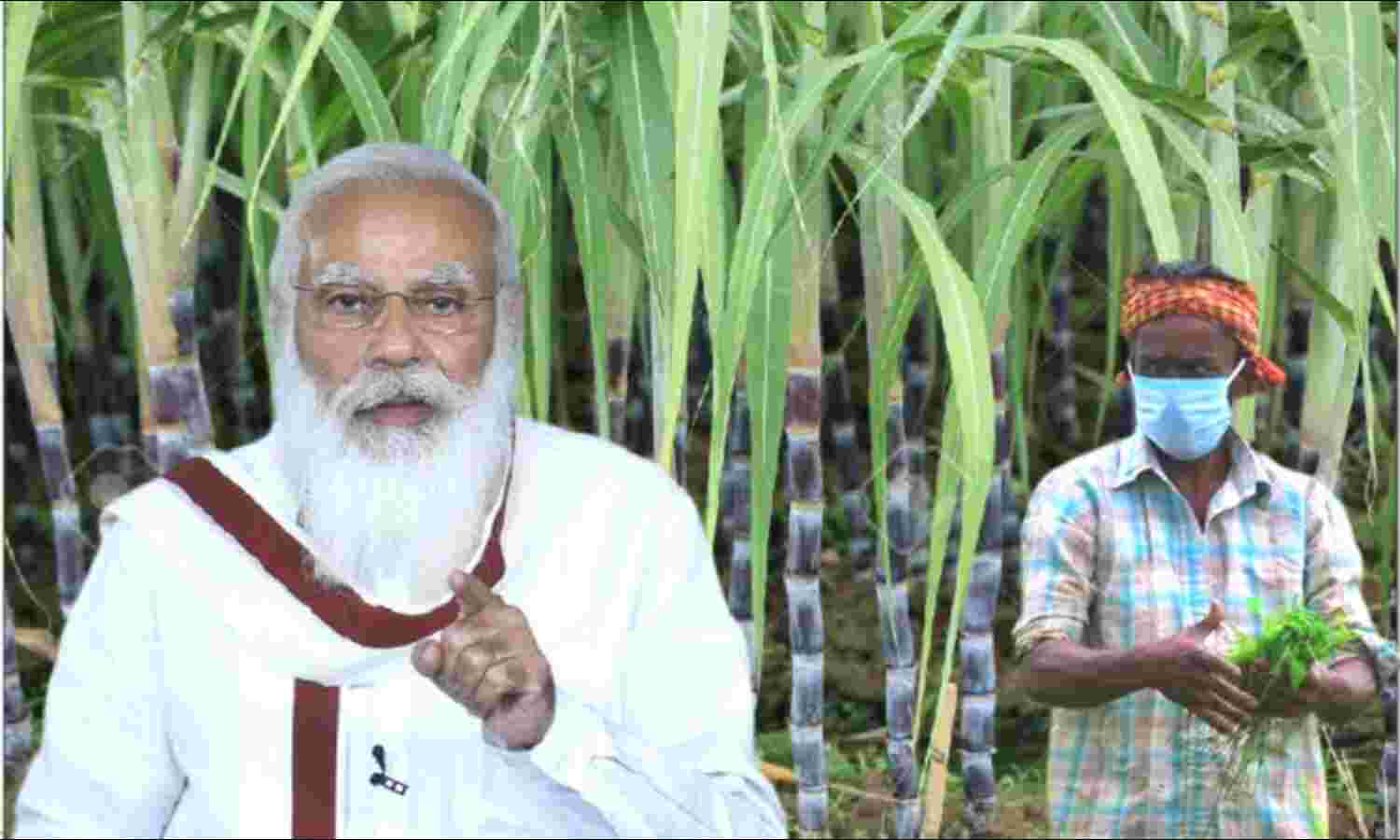 गन्ना किसानों को केंद्र सरकार की सौगात,  समर्थन मूल्य में की बढ़ोत्तरी