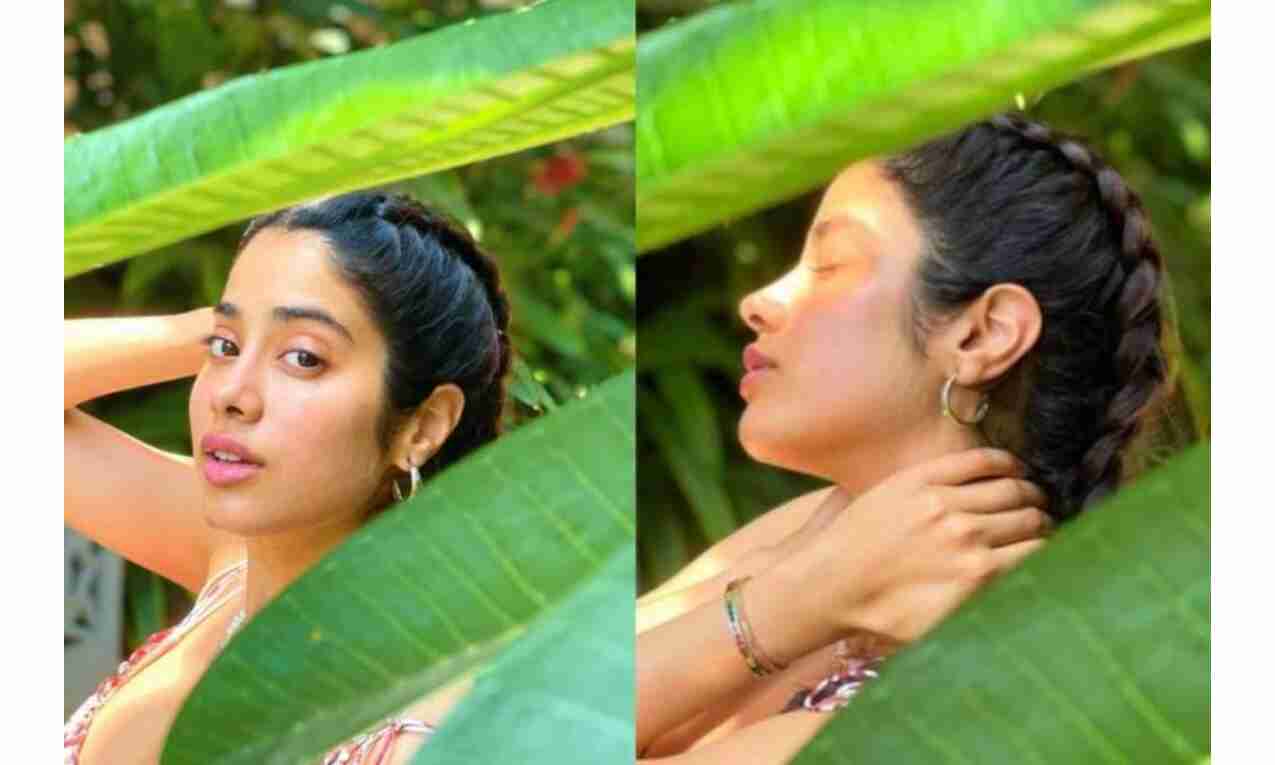 जाह्नवी कपूर ने पत्तों के बीच कराया फोटोशूट, फैंस ने दी ये प्रतिक्रिया