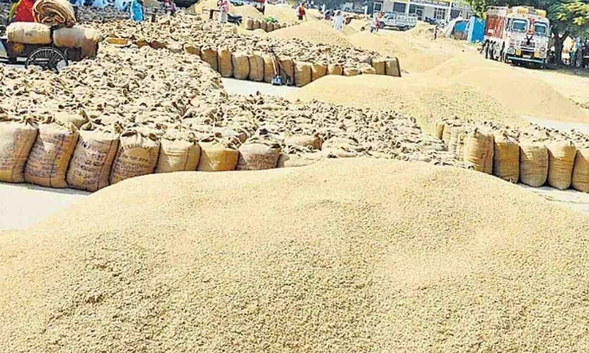 पंजाब में शुरू हुई धान खरीदी, अन्य राज्यों से प्रवेश को रोकने के लिए कड़े प्रबंध