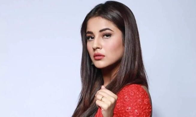 सिद्धार्थ शुक्ला की मौत के बाद काम पर लौटी शहनाज, फिल्म हौसला रख में आएंगी नजर