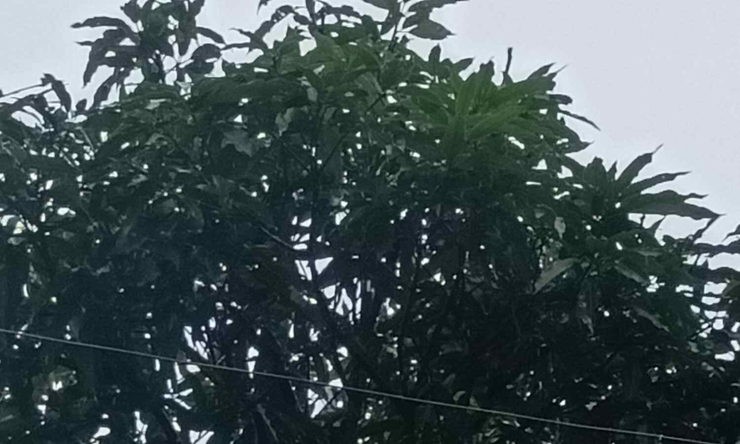 उत्तराखंड में बारिश का कहर, ऑरेंज अलर्ट, इस अवधि में यात्रा से बचें