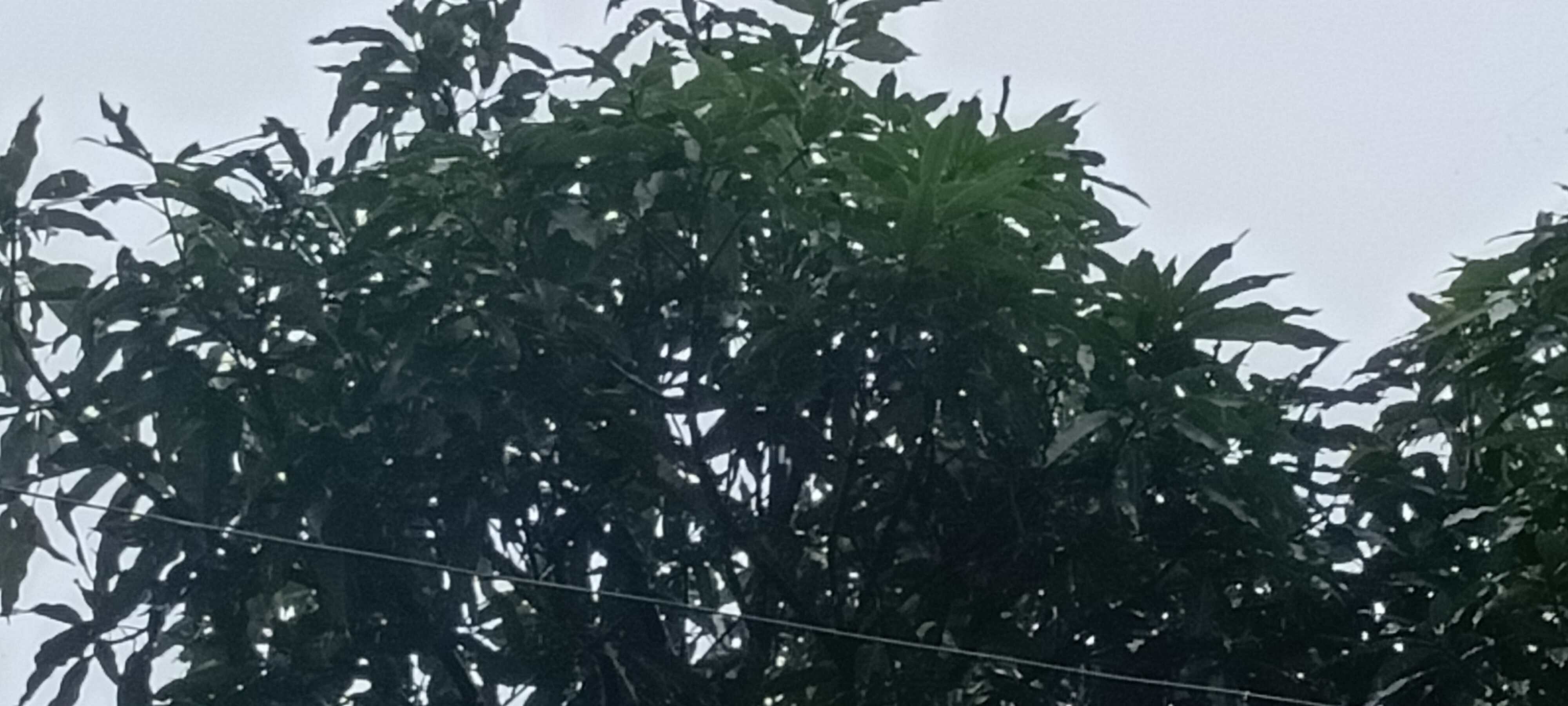 उत्तराखंड में बारिश का कहर, ऑरेंज अलर्ट, इस अवधि में यात्रा से बचें उत्तराखंड में बारिश का कहर, ऑरेंज अलर्ट, इस अवधि में यात्रा से बचें