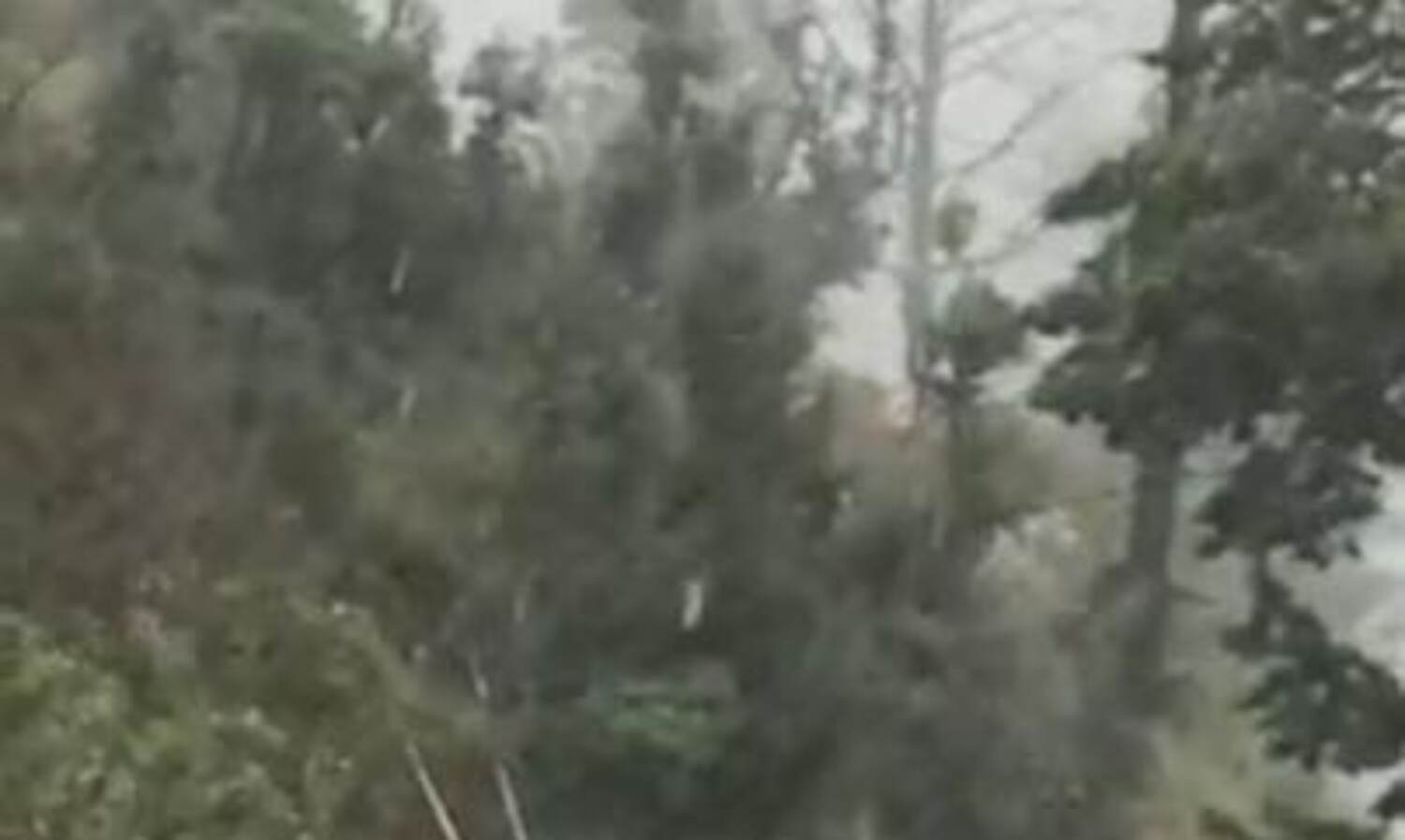 उत्तराखण्ड में तेज बारिश का दौर जारी, चार धाम यात्रा रुकी