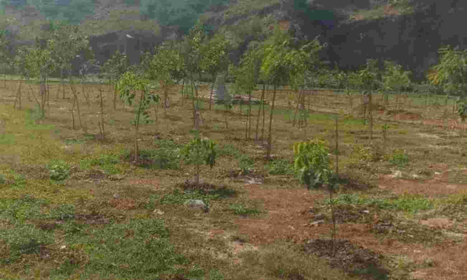 डंपिंग साइट की बदली तस्वीर, जहां पहले डलता था कचरा, अब वहां लोग मनाते हैं पिकनिक