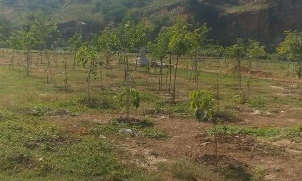 डंपिंग साइट की बदली तस्वीर, जहां पहले डलता था कचरा, अब वहां लोग मनाते हैं पिकनिक