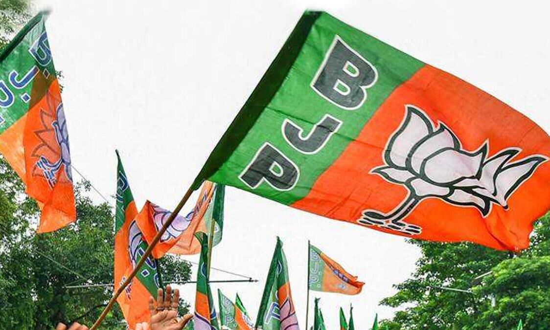 उपचुनाव परिणाम : देश की 29 विधानसभा सीटों में से 13 पर भाजपा का परचम, देखें हर सीट का हाल