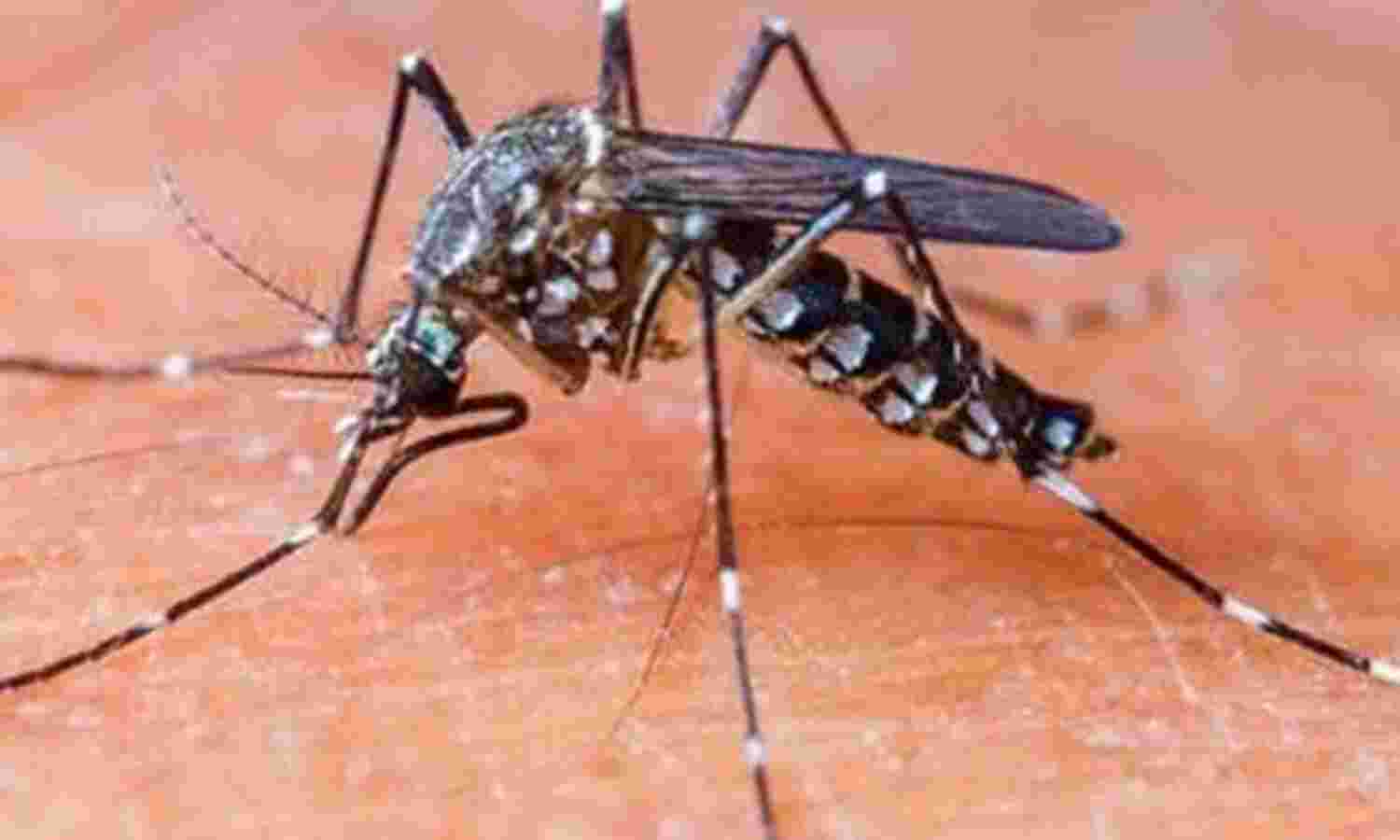 कोरोना के बाद अब डेंगू ने बढ़ाई चिंता, केंद्र निगरानी के लिए राज्यों में भेजेगी टीम