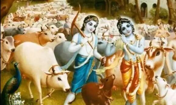 सबको मनचाहा फल देने वाला पवित्र दिन है गोपाष्टमी, जानिए क्या है पौराणिक महत्व सबको मनचाहा फल देने वाला पवित्र दिन है गोपाष्टमी, जानिए क्या है पौराणिक महत्व