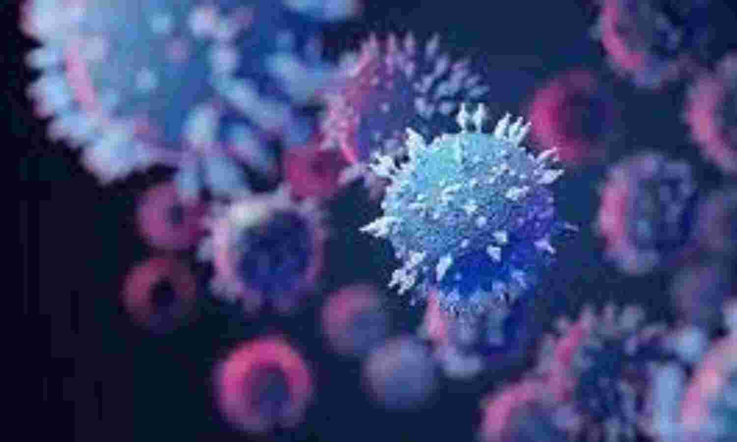 दक्षिण अफ्रीका में मिला कोरोना का नया संक्रमण, विश्व की बढ़ी चिंता