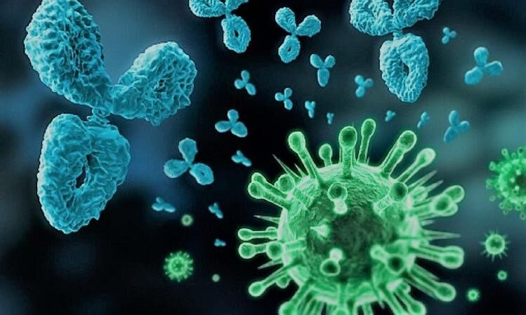 कोरोना का B 1.1.529 है बेहद संक्रामक, भारत में वेरिएंट की ये है... स्थिति