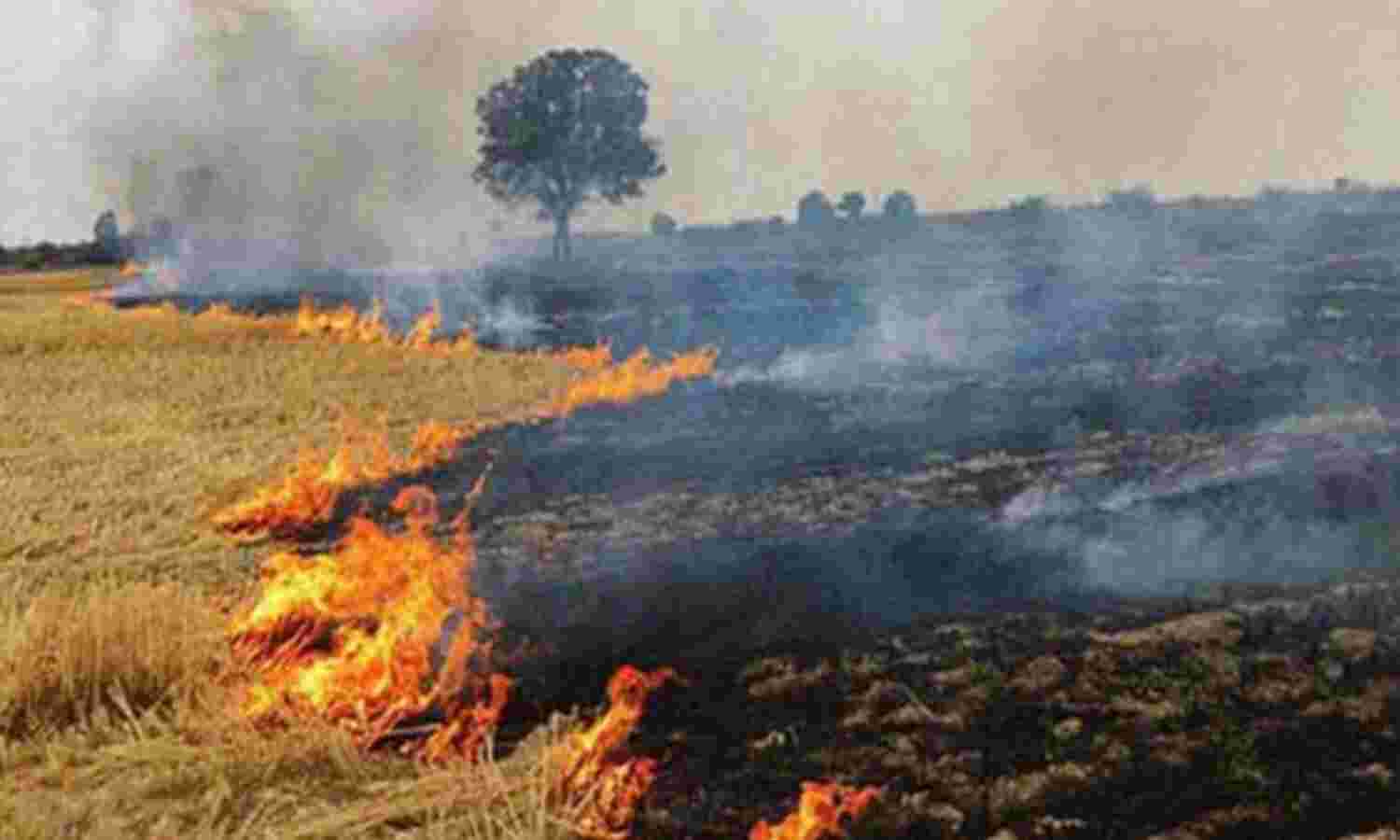 सरकार ने मानी किसानों की एक ओर बात, पराली जलाना अब अपराध नहीं