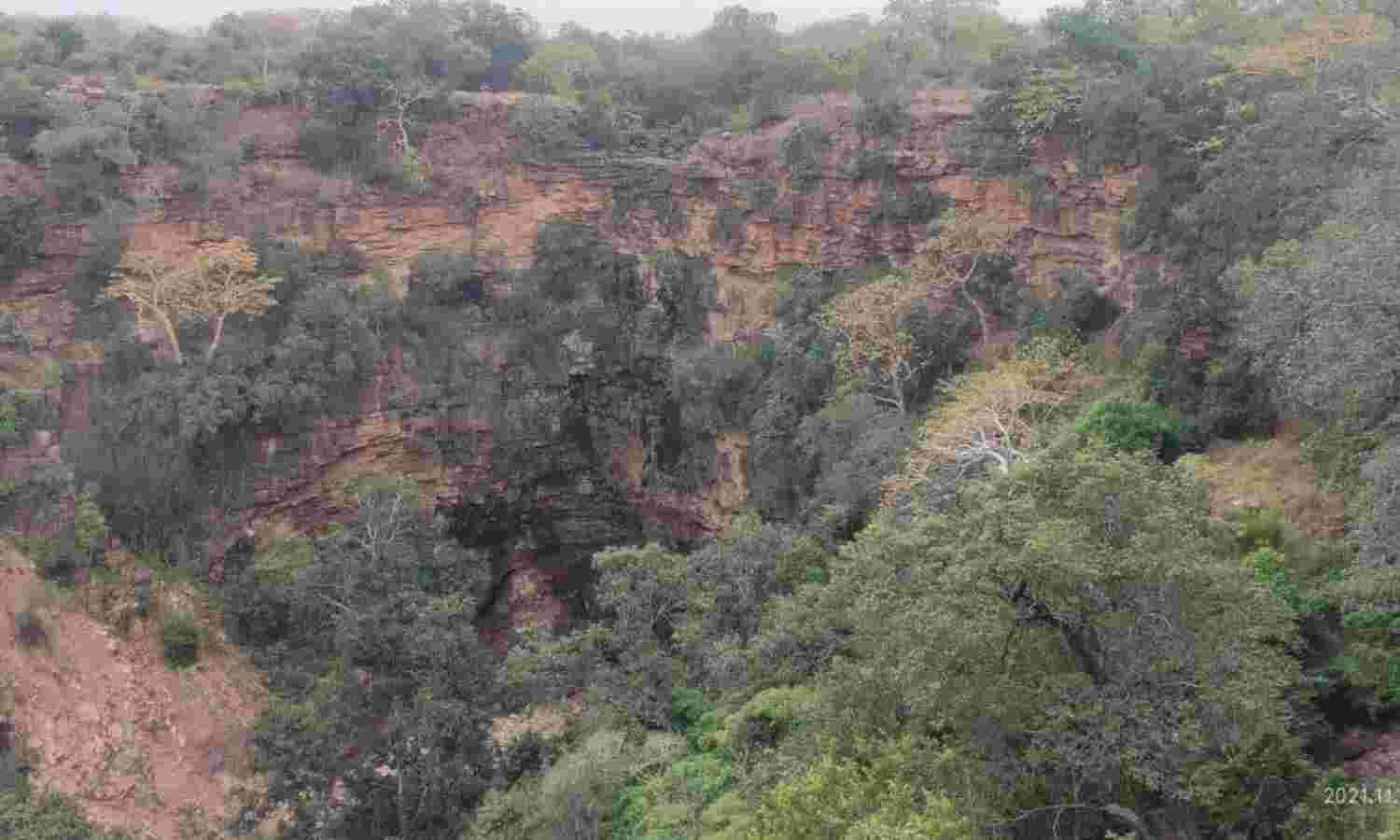 प्रकृति की गोद में विराजमान है कूनो सेंचुरी का नटनी खो