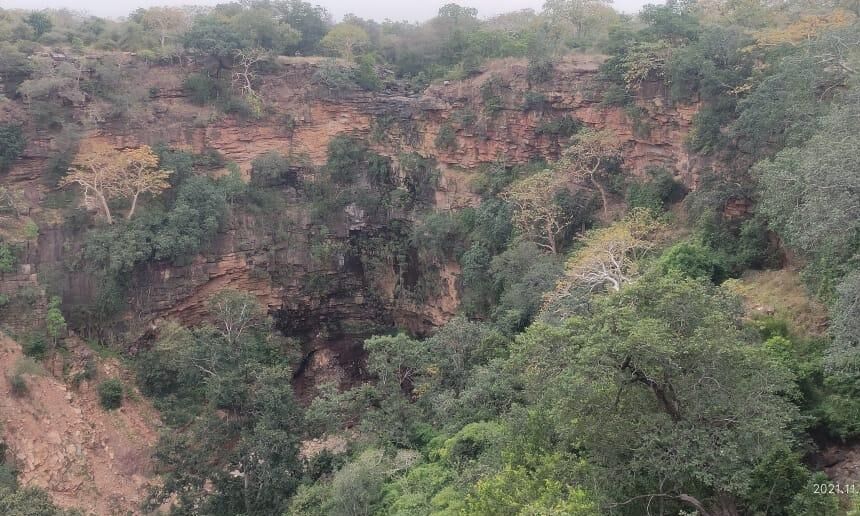प्रकृति की गोद में विराजमान है कूनो सेंचुरी का नटनी खो