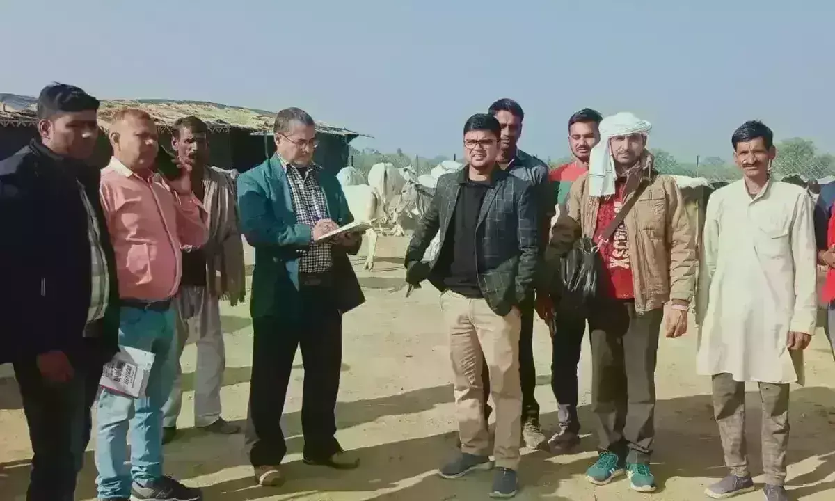 बांदा : उपनिदेशक पशुपालन ने कान्हा गोशाला का किया निरीक्षण बांदा : उपनिदेशक पशुपालन ने कान्हा गोशाला का किया निरीक्षण