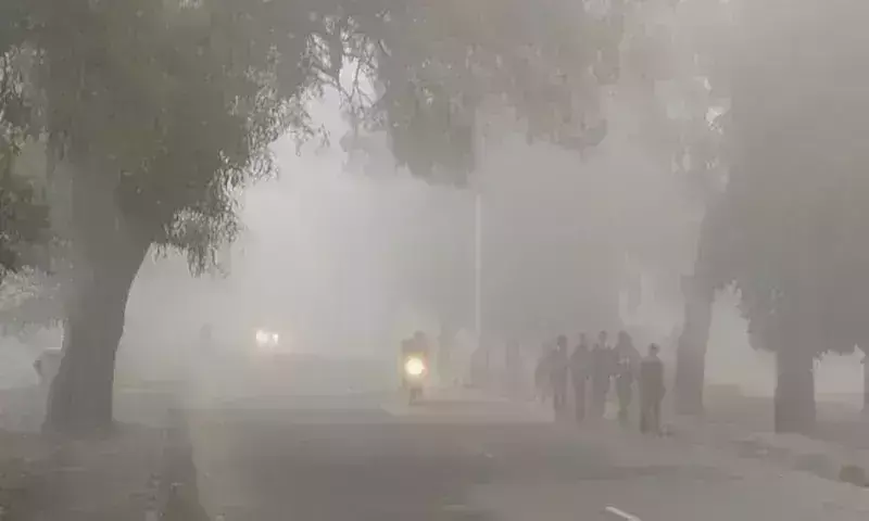 ग्वालियर में 2.9, नौगांव में 3.3 और खजुराहो में न्यूनतम तापमान 5 डिग्री दर्ज ग्वालियर में 2.9, नौगांव में 3.3 और खजुराहो में न्यूनतम तापमान 5 डिग्री दर्ज