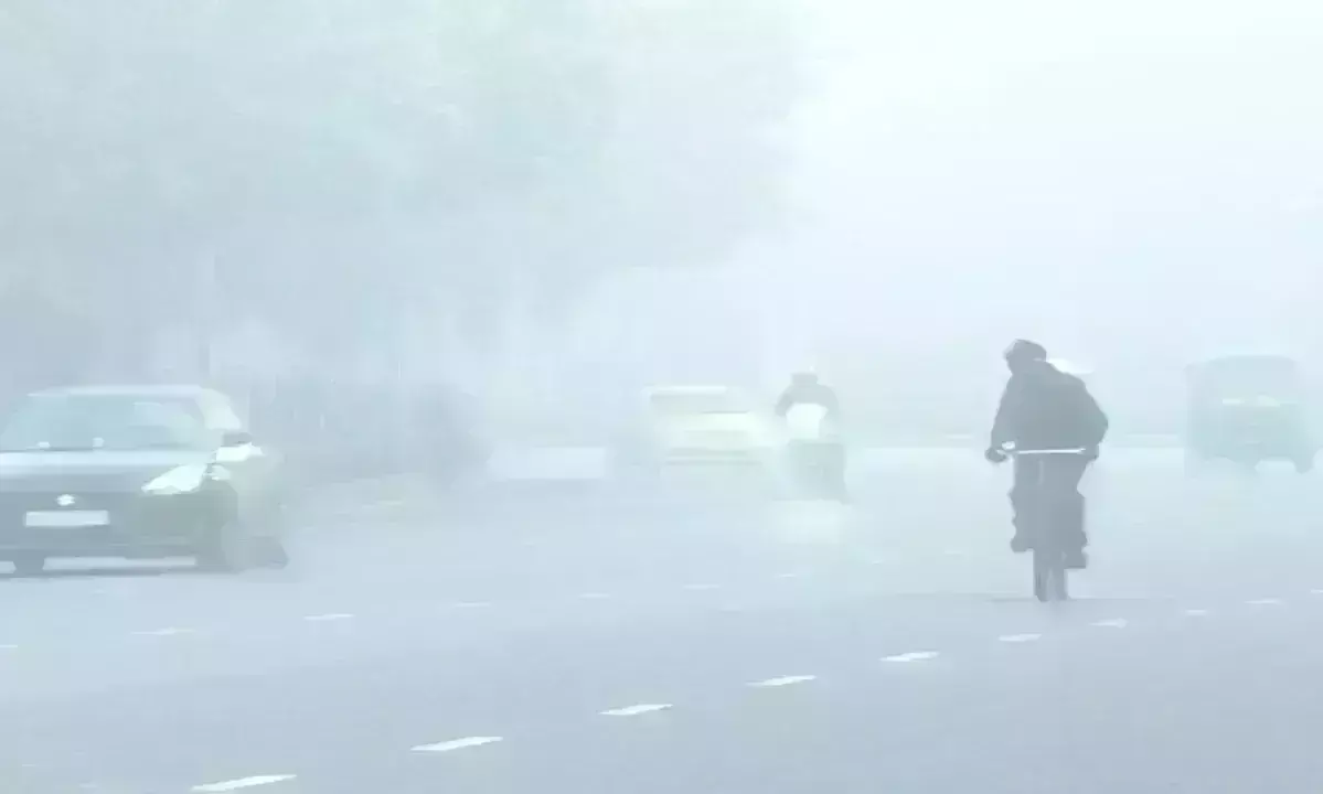 शीत लहर की चपेट में आया प्रदेश, बर्फीली हवाओं ने गिराया तापमान, 29 के बाद मिलेगी राहत