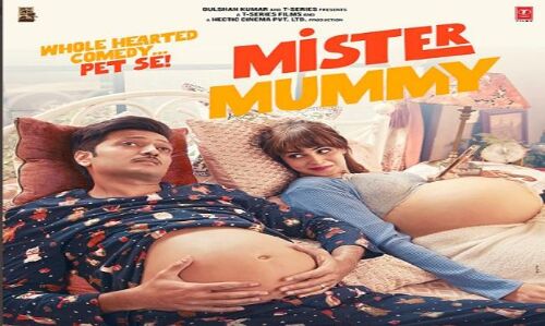 फैंस का इंतजार खत्म, 10 साल बाद पर्दे पर साथ नजर आएंगे रितेश और जेनेलिया