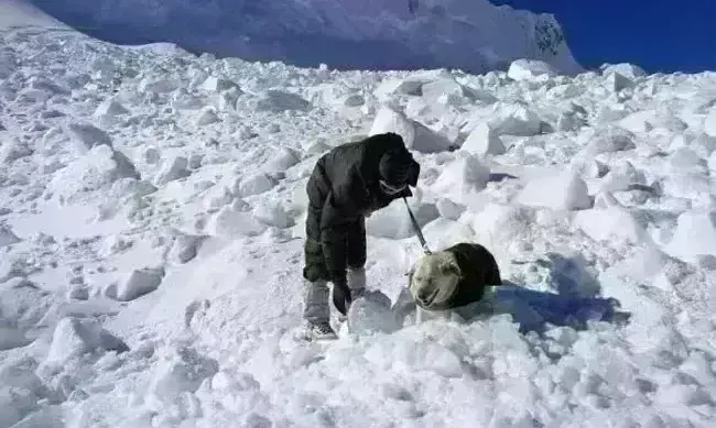 अरुणाचल प्रदेश के कामेंग सेक्टर में हिमस्खलन, 7 सैनिक शहीद