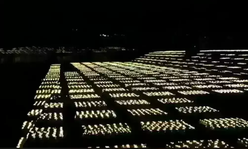 महाकाल की नगरी 21 लाख दीपों से हुई प्रज्वलित, बना गिनीज वर्ल्ड रिकार्ड