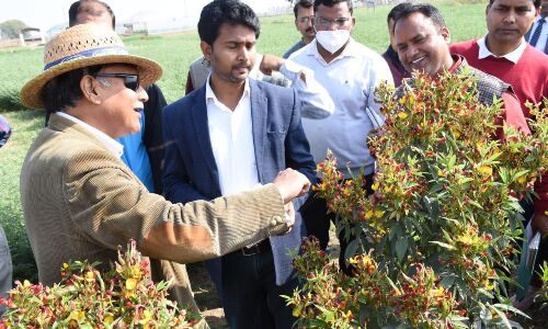 बांदा कृषि विश्वविद्यालय के कुलपति ने किया निरीक्षण