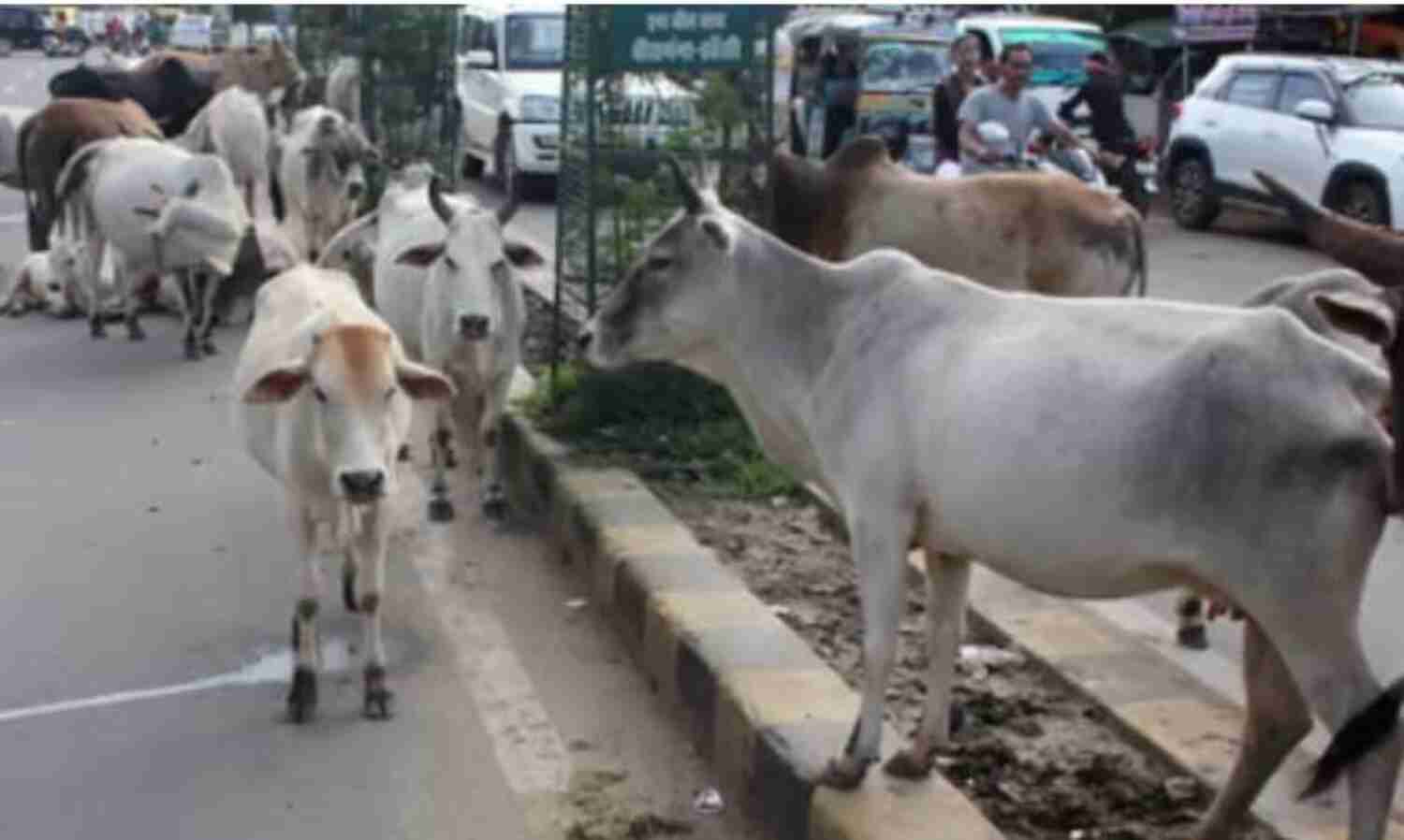 बांदा : भरण-पोषण का पैसा देने से पहले की गई रेंडम जांच