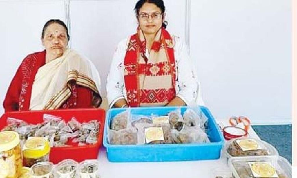 स्वयंसिद्धा: मध्यमवर्ग के लिए उद्यमशीलता का पाठ