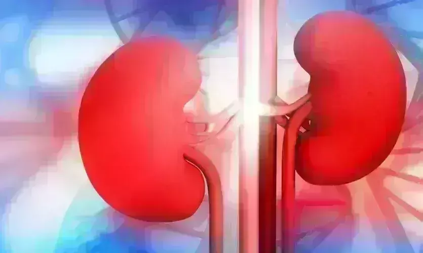 किडनी रोग : महामारियों से बड़ा खतरा