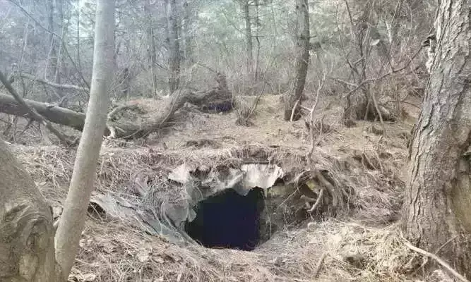 अवंतीपोरा में सुरक्षाबलों ने ध्वस्त किया आतंकी ठिकाना, गोला बारूद  बरामद