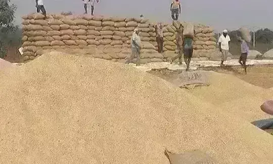 योगी सरकार ने 5 साल में 20 हजार करोड़ की सरकारी खरीदी का बनाया रिकार्ड, तीसरी बार बना नं 1