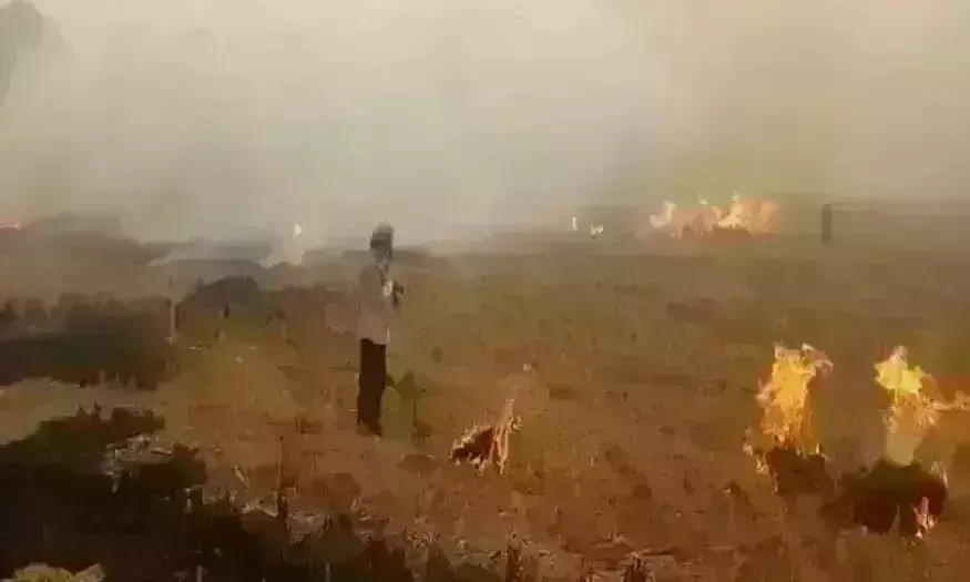 पराली, कूड़ा करकट न जलाने की अपील