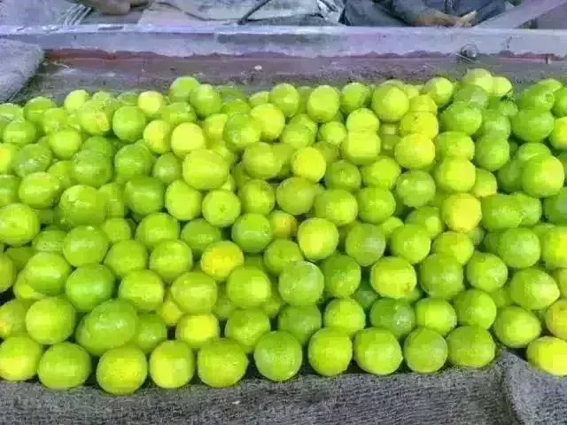 भोजन की थाली से गायब हुआ नींबोड़ा