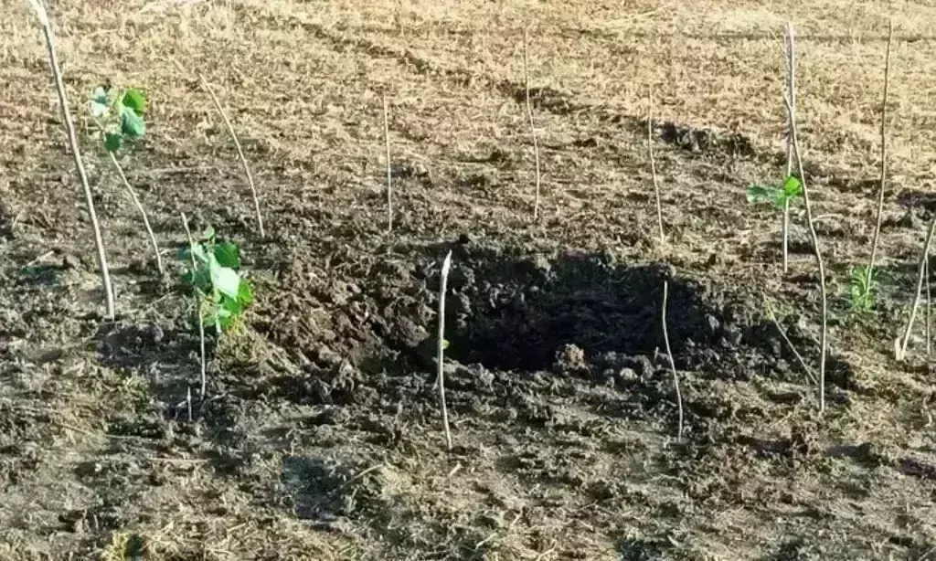 प्रधानमंत्री की सभा के पास सांबा में विस्फोट, एजेंसियों ने शुरू की जांच