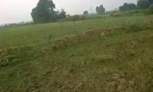 जमीन के दस्तावेज और मॉडर्न रिकार्ड रूम डाटा के लिए बनेगा डाटा सेंटर जमीन के दस्तावेज और मॉडर्न रिकार्ड रूम डाटा के लिए बनेगा डाटा सेंटर