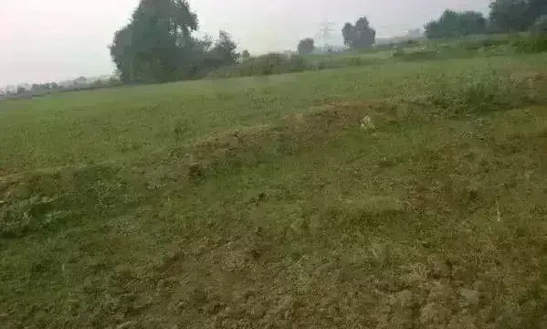 जमीन के दस्तावेज और मॉडर्न रिकार्ड रूम डाटा के लिए बनेगा डाटा सेंटर