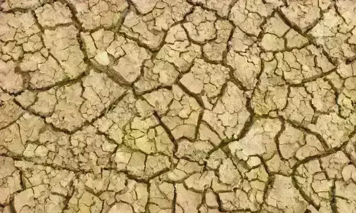 बंजर भूमि पर फसल उगाकर किसानों की आय बढ़ाएगी सरकार बंजर भूमि पर फसल उगाकर किसानों की आय बढ़ाएगी सरकार