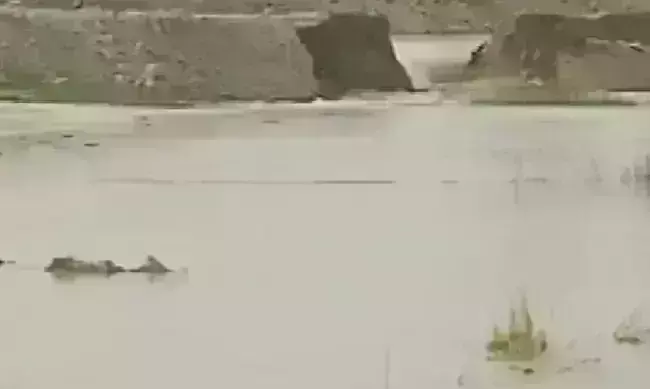 मुख्यमंत्री नीतीश का हेलीकॉप्टर उड़ते ही टूटा तटबंध, सूखी नदी में आ गई बाढ़