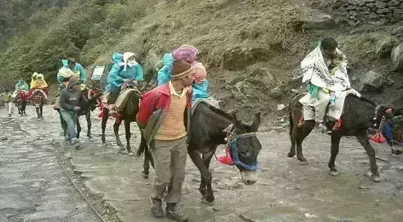 उत्तराखंड: चार घंटे से बंद केदारनाथ यात्रा मार्ग फिर हुआ शुरू