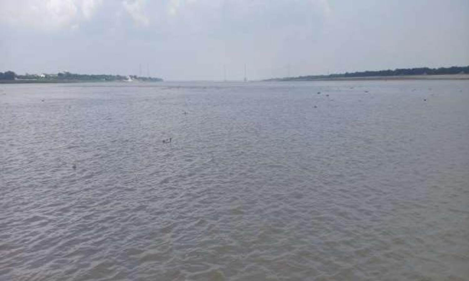 जैविक खेती और वनीकरण से बनाएंगे गंगा को प्रदूषणमुक्त