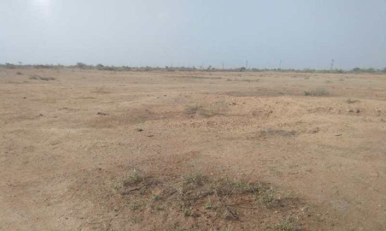 पिता की कुर्सी का डंका: डूब क्षेत्र की नौ बीघा जमीन का किया अनुबंध