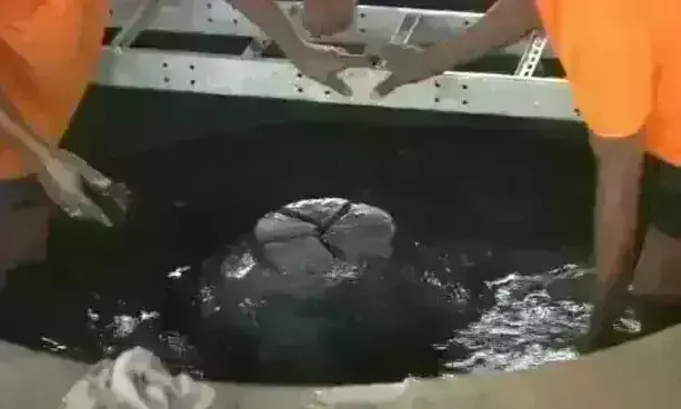 ज्ञानवापी मस्जिद परिसर का सर्वे वीडियो लीक, जानिए शिवलिंग के अलावा क्या-क्या दिखा