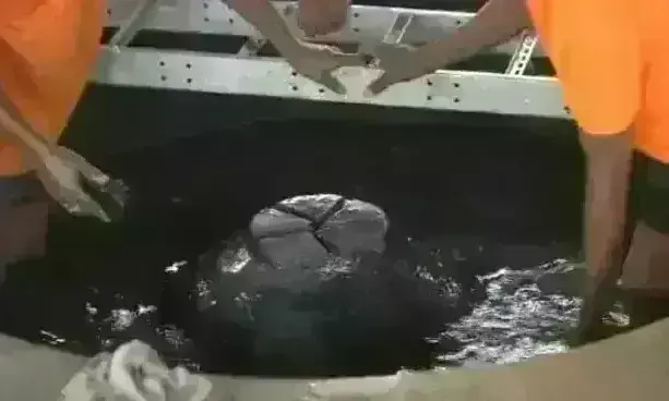 ज्ञानवापी मस्जिद परिसर का सर्वे वीडियो लीक, जानिए शिवलिंग के अलावा क्या-क्या दिखा