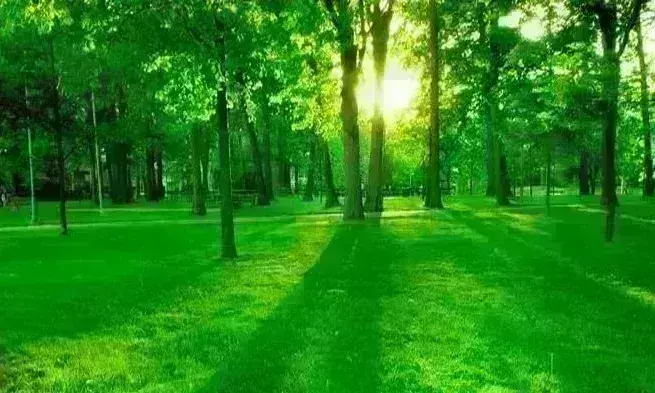 प्रकृति के शोषण नहीं दोहन की भावना पर आधारित है वसुधैव कुटुंबकम की अवधारणा