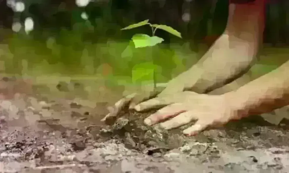 जाने क्यों मानते हैं पर्यावरण दिवस : वृक्षारोपण ला सकता है बड़ा बदलाव