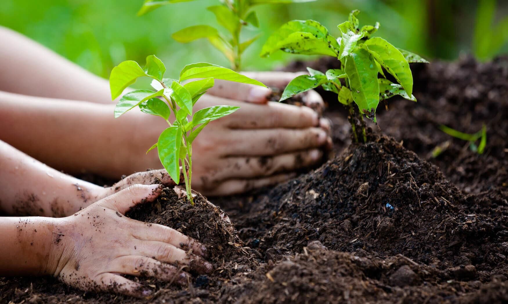पर्यावरण संरक्षण से बचेगा मानव जीवन