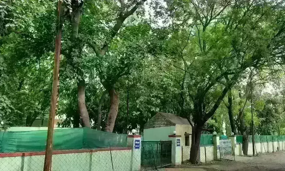 थाटीपुर पुनर्घनत्वीकरण योजना: साढ़े तीन सौ पेड़ों को शिफ्ट करना चुनौतीपूर्ण काम