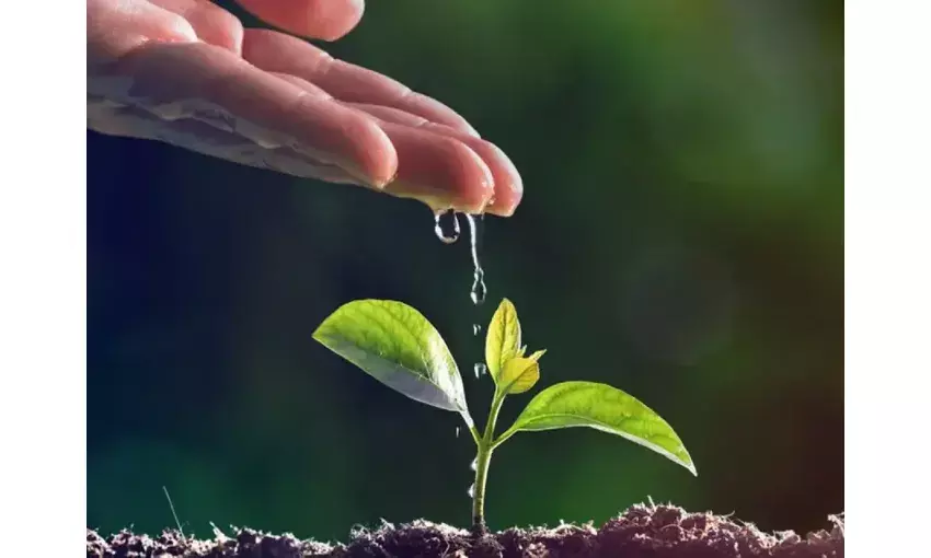 भारतीय दृष्टि में पर्यावरण का महत्व और हमारी भूमिका भारतीय दृष्टि में पर्यावरण का महत्व और हमारी भूमिका