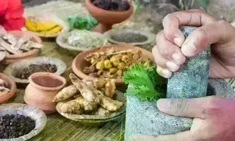 35 छावनी बोर्ड और 12 सैन्य अस्पतालों में भी होगा आयुर्वेद से इलाज