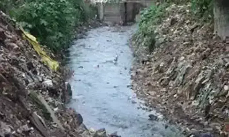 वर्षों से साफ नहीं हुए चिटनिस की गोठ के नाले, बारिश में होती है नरकीय स्थिति