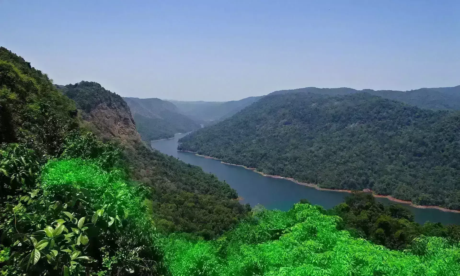 जैव-विविधता संरक्षण एवं संवर्धन के लिए समर्पित जीवन