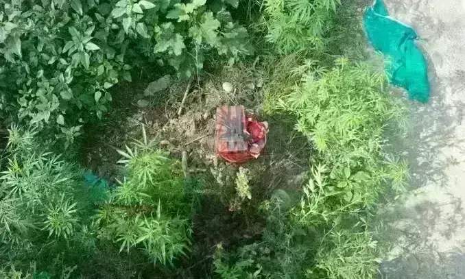 आतंकियों ने विस्फोट के लिए अपनाया नया तरीका, पांच किलों सिलेंडर के साथ बांधे पटाखे आतंकियों ने विस्फोट के लिए अपनाया नया तरीका, पांच किलों सिलेंडर के साथ बांधे पटाखे